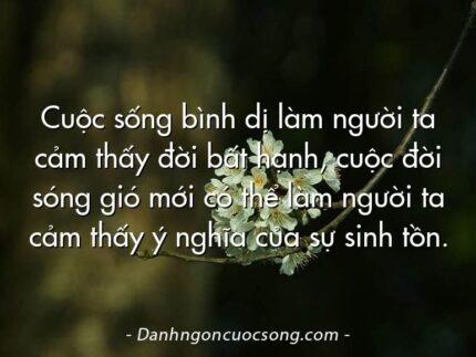 Cuộc sống bình dị làm người ta cảm thấy đời bất hạnh, cuộc đời sóng gió mới có thể làm người ta cảm thấy ý nghĩa của sự sinh tồn.