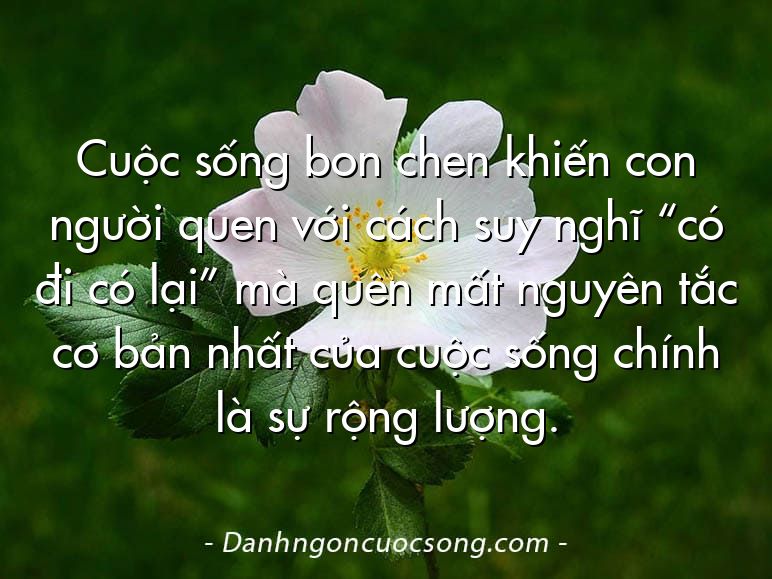 Cuộc sống bon chen khiến con người quen với cách suy nghĩ “có đi có lại” mà quên mất nguyên tắc cơ bản nhất của cuộc sống chính là sự rộng lượng.