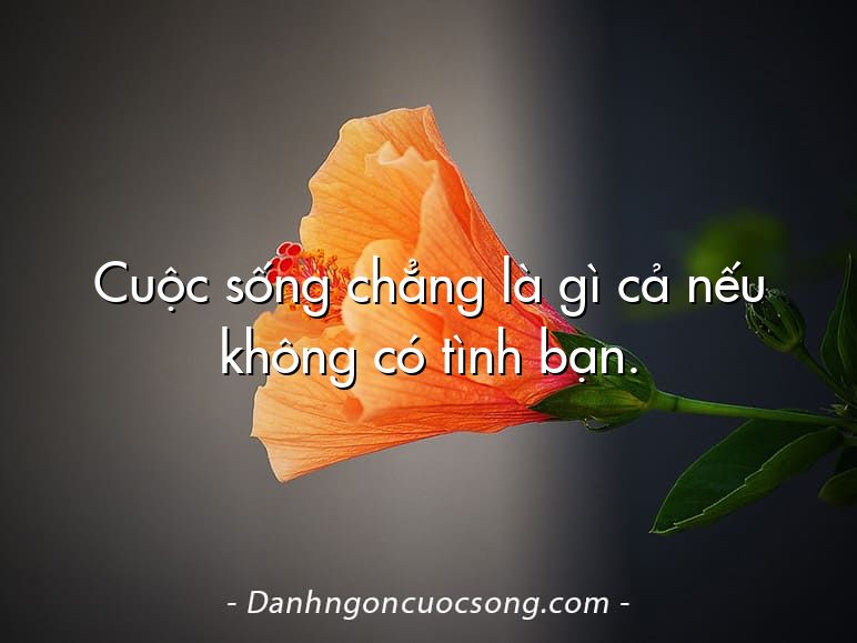 Cuộc sống chẳng là gì cả nếu không có tình bạn.
