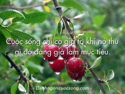 Cuộc sống chỉ có giá trị khi nó thứ gì đó đáng giá làm mục tiêu.
