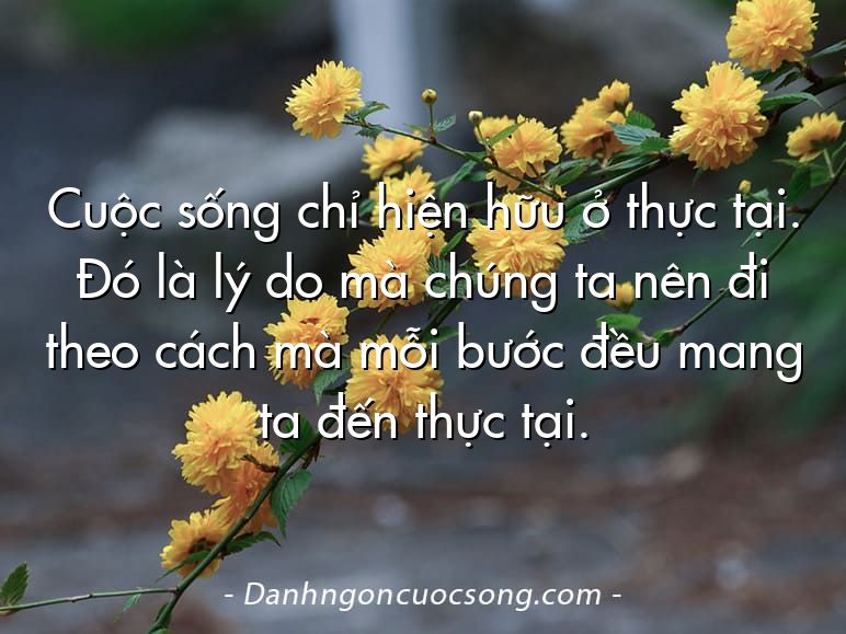 Cuộc sống chỉ hiện hữu ở thực tại. Đó là lý do mà chúng ta nên đi theo cách mà mỗi bước đều mang ta đến thực tại.
