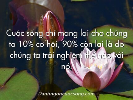Cuộc sống chỉ mang lại cho chúng ta 10% cơ hội, 90% còn lại là do chúng ta trải nghiệm thế nào với nó.