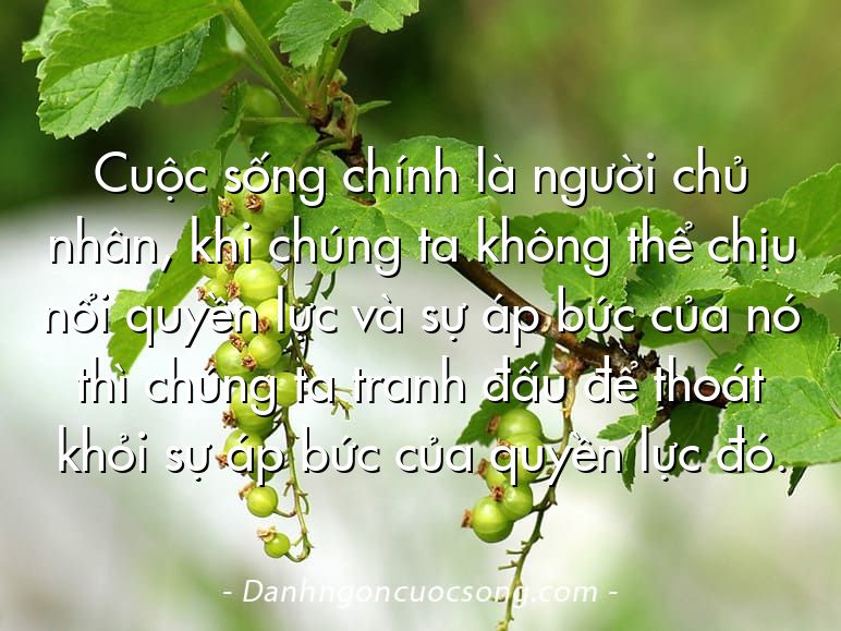 Cuộc sống chính là người chủ nhân, khi chúng ta không thể chịu nổi quyền lực và sự áp bức của nó thì chúng ta tranh đấu để thoát khỏi sự áp bức của quyền lực đó.