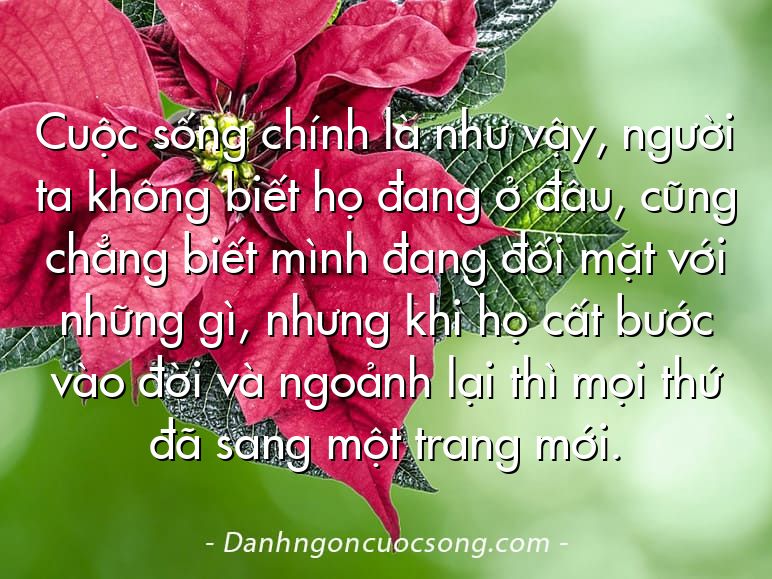 Cuộc sống chính là như vậy, người ta không biết họ đang ở đâu, cũng chẳng biết mình đang đối mặt với những gì, nhưng khi họ cất bước vào đời và ngoảnh lại thì mọi thứ đã sang một trang mới.