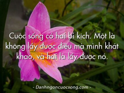 Cuộc sống có hai bi kịch. Một là không lấy được điều mà mình khát khao, và hai là lấy được nó.