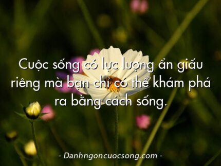 Cuộc sống có lực lượng ẩn giấu riêng mà bạn chỉ có thể khám phá ra bằng cách sống.