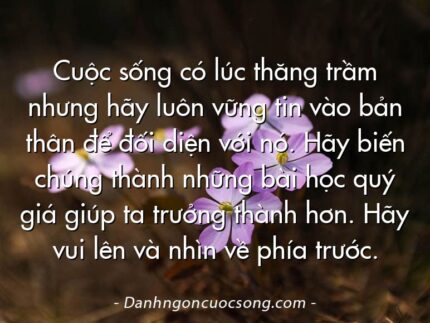 Cuộc sống có lúc thăng trầm nhưng hãy luôn vững tin vào bản thân để đối diện với nó. Hãy biến chúng thành những bài học quý giá giúp ta trưởng thành hơn. Hãy vui lên và nhìn về phía trước.