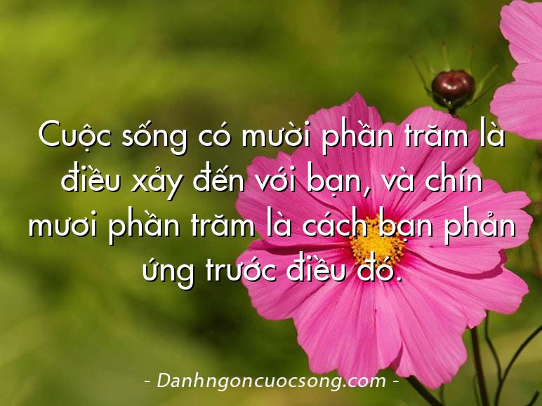 Cuộc sống có mười phần trăm là điều xảy đến với bạn, và chín mươi phần trăm là cách bạn phản ứng trước điều đó.