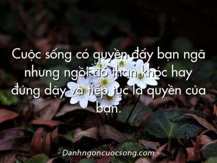 Cuộc sống có quyền đẩy bạn ngã nhưng ngồi đó than khóc hay đứng dậy và tiếp tục là quyền của bạn.