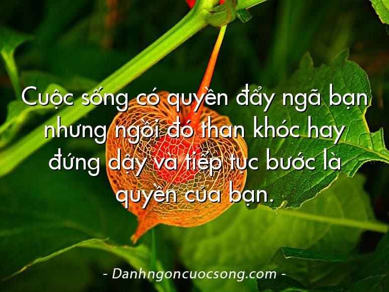 Cuộc sống có quyền đẩy ngã bạn nhưng ngồi đó than khóc hay đứng dậy và tiếp tục bước là quyền của bạn.