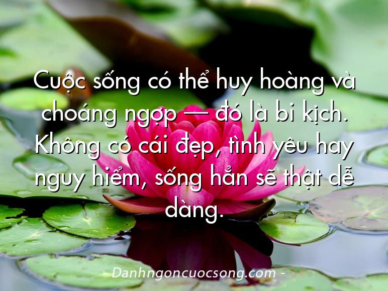 Cuộc sống có thể huy hoàng và choáng ngợp — đó là bi kịch. Không có cái đẹp, tình yêu hay nguy hiểm, sống hẳn sẽ thật dễ dàng.