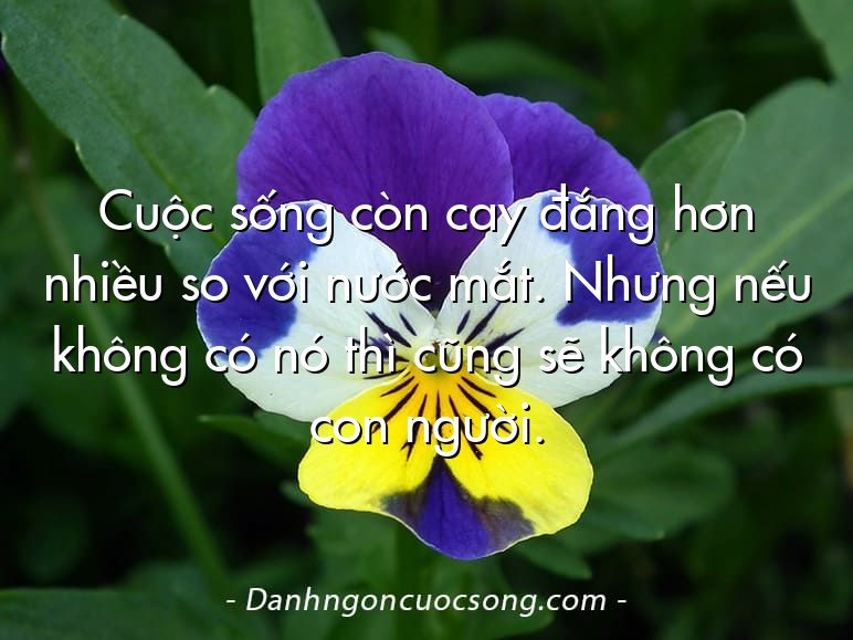 Cuộc sống còn cay đắng hơn nhiều so với nước mắt. Nhưng nếu không có nó thì cũng sẽ không có con người.