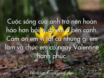 Cuộc sống của anh trở nên hoàn hảo hơn bởi vì có em ở bên cạnh. Cảm ơn em vì tất cả những gì em làm và chúc em có ngày Valentine hạnh phúc.