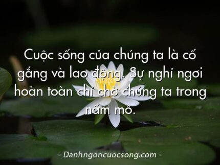 Cuộc sống của chúng ta là cố gắng và lao động. Sự nghỉ ngơi hoàn toàn chỉ chờ chúng ta trong nấm mồ.  