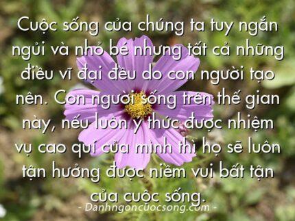 Cuộc sống của chúng ta tuy ngắn ngủi và nhỏ bé nhưng tất cả những điều vĩ đại đều do con người tạo nên. Con người sống trên thế gian này, nếu luôn ý thức được nhiệm vụ cao quí của mình thì họ sẽ luôn tận hưởng được niềm vui bất tận của cuộc sống.