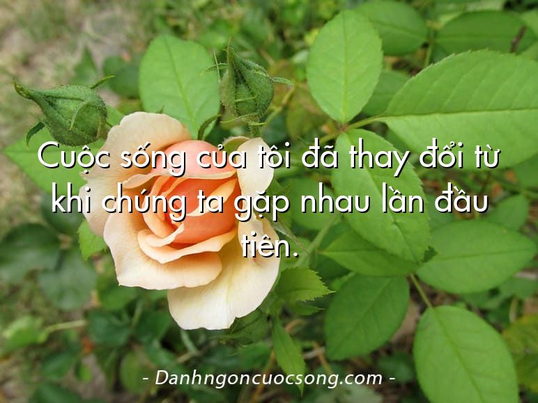 Cuộc sống của tôi đã thay đổi từ khi chúng ta gặp nhau lần đầu tiên.