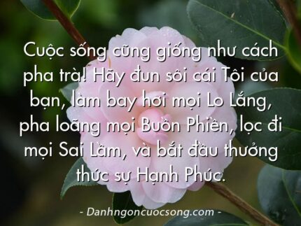 Cuộc sống cũng giống như cách pha trà! Hãy đun sôi cái Tôi của bạn, làm bay hơi mọi Lo Lắng, pha loãng mọi Buồn Phiền, lọc đi mọi Sai Lầm, và bắt đầu thưởng thức sự Hạnh Phúc.