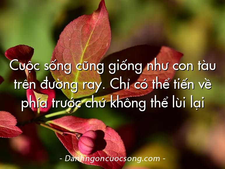 Cuộc sống cũng giống như con tàu trên đường ray. Chỉ có thể tiến về phía trước chứ không thể lùi lại