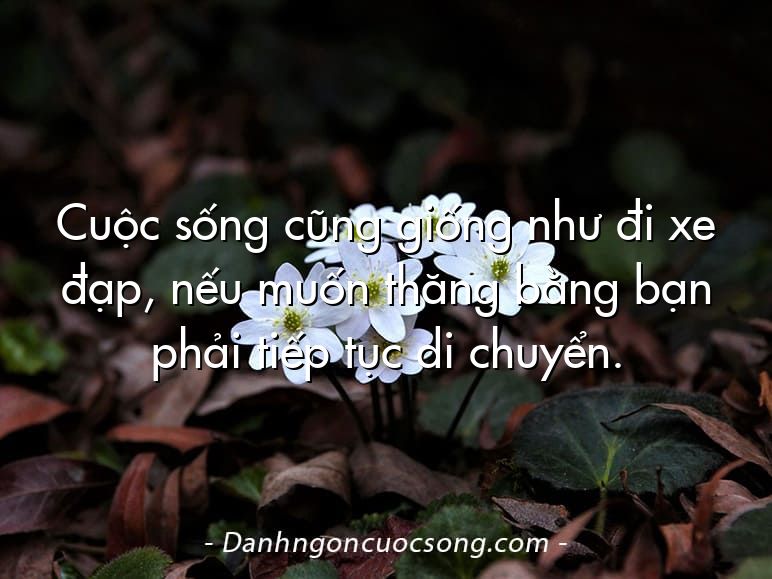 Cuộc sống cũng giống như đi xe đạp, nếu muốn thăng bằng bạn phải tiếp tục di chuyển.