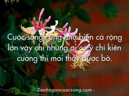 Cuộc sống cũng như biển cả rộng lớn vậy chỉ những ai có ý chí kiên cường thì mới thấy được bờ.