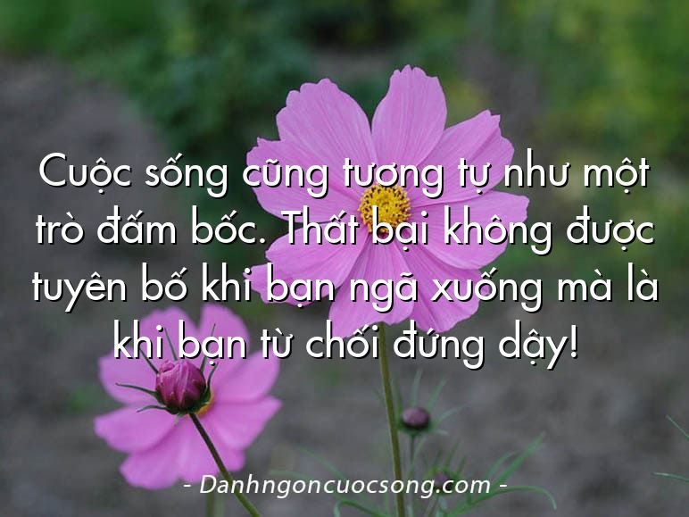 Cuộc sống cũng tương tự như một trò đấm bốc. Thất bại không được tuyên bố khi bạn ngã xuống mà là khi bạn từ chối đứng dậy!