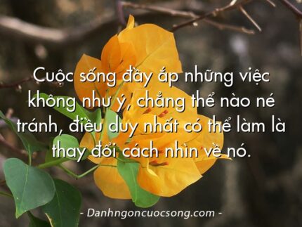 Cuộc sống đầy ắp những việc không như ý, chẳng thể nào né tránh, điều duy nhất có thể làm là thay đổi cách nhìn về nó.