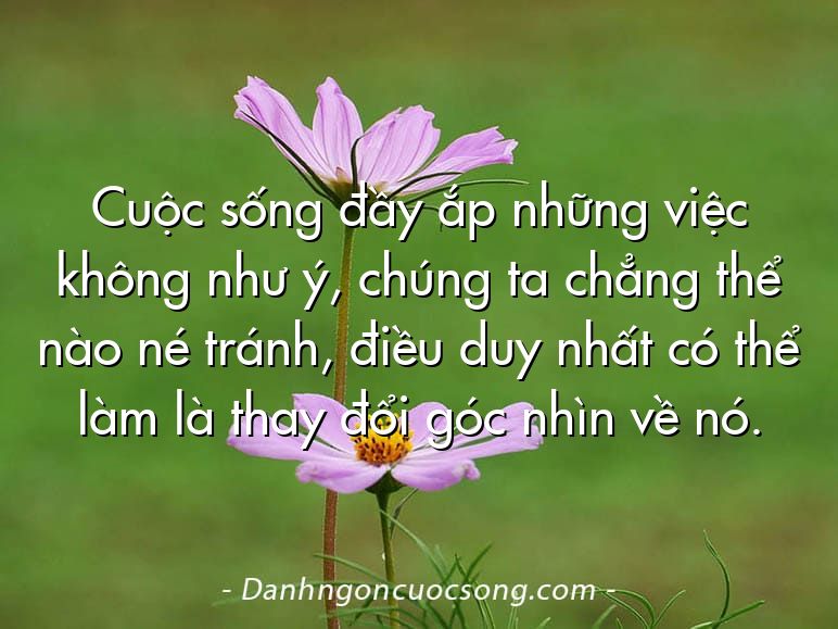 Cuộc sống đầy ắp những việc không như ý, chúng ta chẳng thể nào né tránh, điều duy nhất có thể làm là thay đổi góc nhìn về nó.