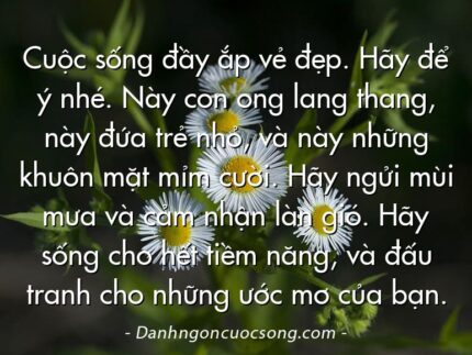 Cuộc sống đầy ắp vẻ đẹp. Hãy để ý nhé. Này con ong lang thang, này đứa trẻ nhỏ, và này những khuôn mặt mỉm cười. Hãy ngửi mùi mưa và cảm nhận làn gió. Hãy sống cho hết tiềm năng, và đấu tranh cho những ước mơ của bạn.
