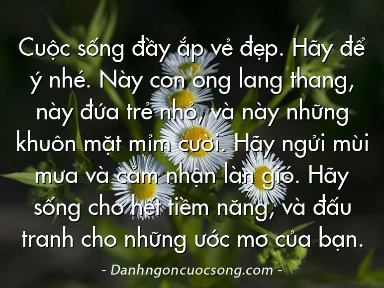 Cuộc sống đầy ắp vẻ đẹp. Hãy để ý nhé. Này con ong lang thang, này đứa trẻ nhỏ, và này những khuôn mặt mỉm cười. Hãy ngửi mùi mưa và cảm nhận làn gió. Hãy sống cho hết tiềm năng, và đấu tranh cho những ước mơ của bạn.
