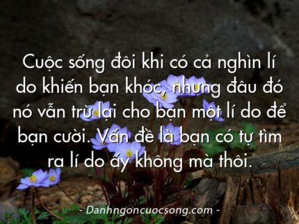 Cuộc sống đôi khi có cả nghìn lí do khiến bạn khóc, nhưng đâu đó nó vẫn trừ lại cho bạn một lí do để bạn cười. Vấn đề là bạn có tự tìm ra lí do ấy không mà thôi.