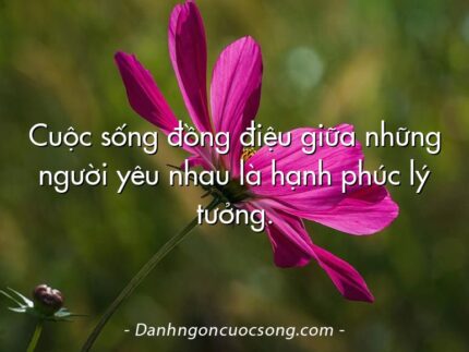 Cuộc sống đồng điệu giữa những người yêu nhau là hạnh phúc lý tưởng.