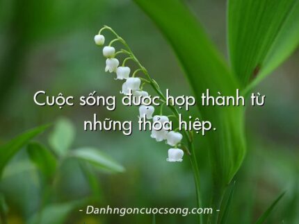 Cuộc sống được hợp thành từ những thỏa hiệp.