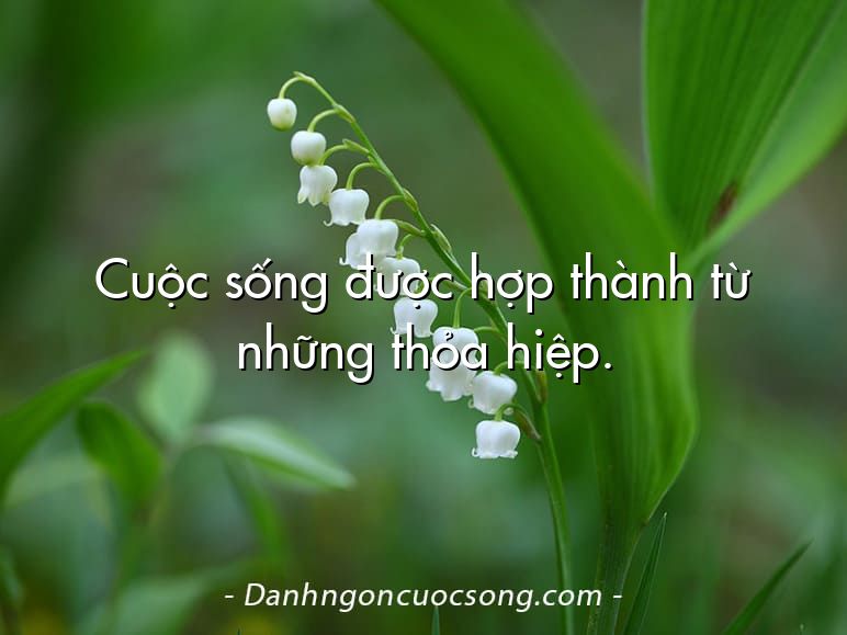 Cuộc sống được hợp thành từ những thỏa hiệp.