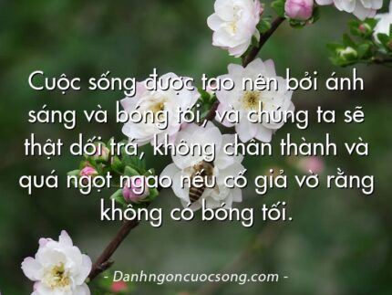 Cuộc sống được tạo nên bởi ánh sáng và bóng tối, và chúng ta sẽ thật dối trá, không chân thành và quá ngọt ngào nếu cố giả vờ rằng không có bóng tối.