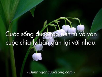 Cuộc sống được tạo nên từ vô vàn cuộc chia ly hàn gắn lại với nhau.