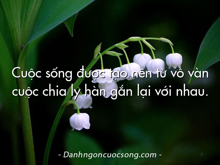 Cuộc sống được tạo nên từ vô vàn cuộc chia ly hàn gắn lại với nhau.