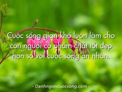 Cuộc sống gian khổ luôn làm cho con người có phẩm chất tốt đẹp hơn so với cuộc sống an nhàn.