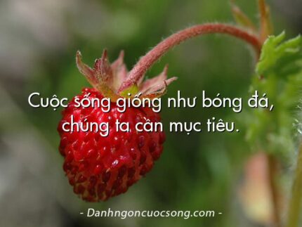 Cuộc sống giống như bóng đá, chúng ta cần mục tiêu.