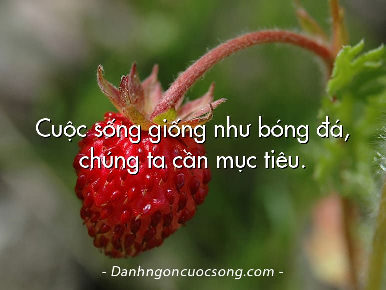 Cuộc sống giống như bóng đá, chúng ta cần mục tiêu.