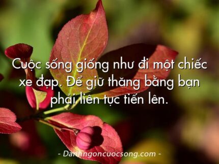 Cuộc sống giống như đi một chiếc xe đạp. Để giữ thăng bằng bạn phải liên tục tiến lên.
