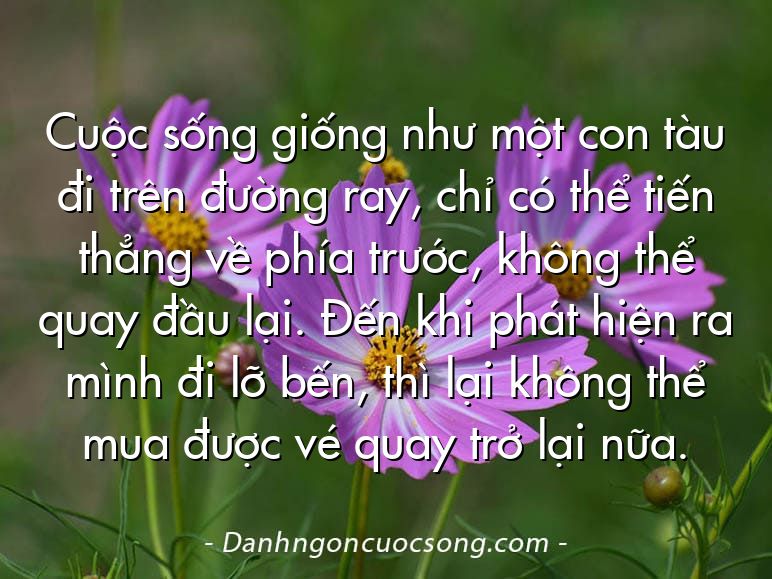 Cuộc sống giống như một con tàu đi trên đường ray, chỉ có thể tiến thẳng về phía trước, không thể quay đầu lại. Đến khi phát hiện ra mình đi lỡ bến, thì lại không thể mua được vé quay trở lại nữa.