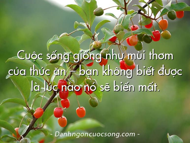 Cuộc sống giống như mùi thơm của thức ăn – bạn không biết được là lúc nào nó sẽ biến mất.