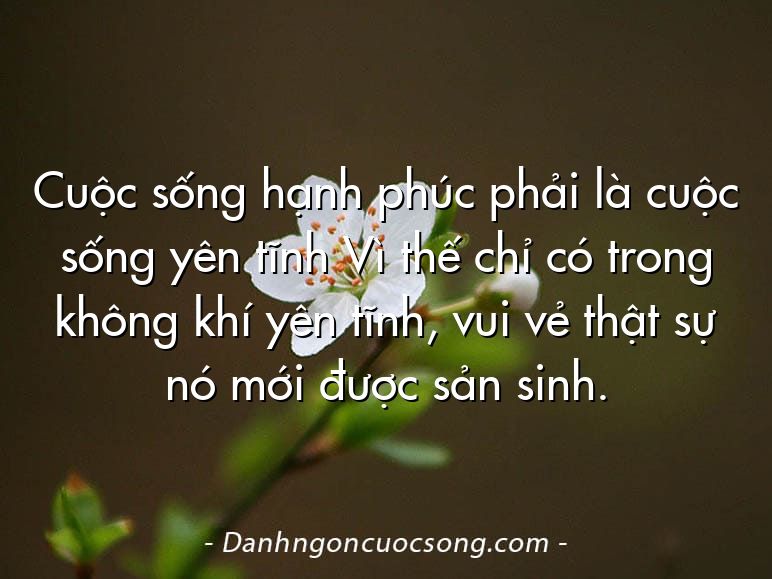 Cuộc sống hạnh phúc phải là cuộc sống yên tĩnh Vì thế chỉ có trong không khí yên tĩnh, vui vẻ thật sự nó mới được sản sinh.