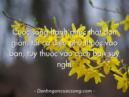 Cuộc sống hạnh phúc thật đơn giản, tất cả điều phụ thuộc vào bạn, tùy thuộc vào cách bạn suy nghĩ