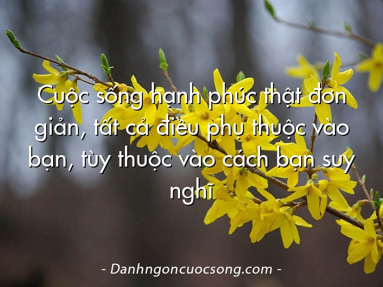 Cuộc sống hạnh phúc thật đơn giản, tất cả điều phụ thuộc vào bạn, tùy thuộc vào cách bạn suy nghĩ