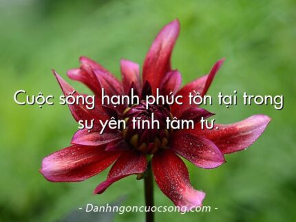 Cuộc sống hạnh phúc tồn tại trong sự yên tĩnh tâm tư.  