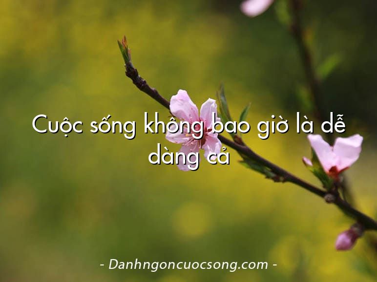 Cuộc sống không bao giờ là dễ dàng cả