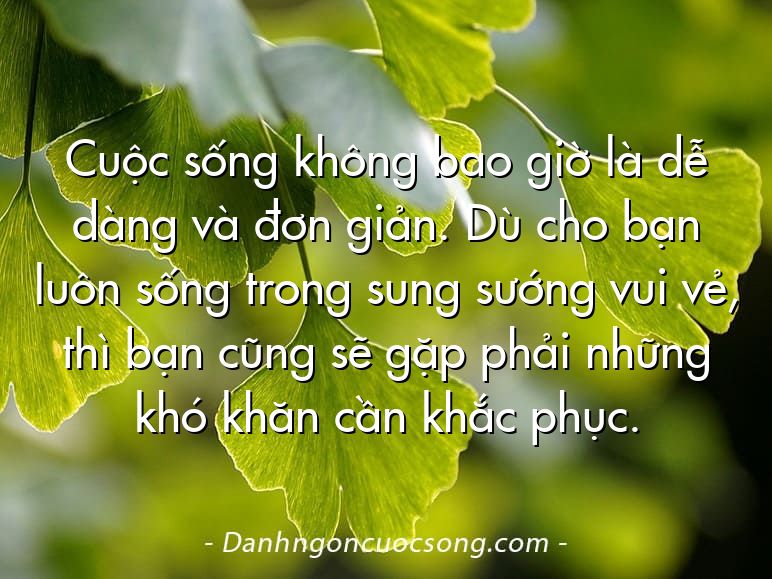Cuộc sống không bao giờ là dễ dàng và đơn giản. Dù cho bạn luôn sống trong sung sướng vui vẻ, thì bạn cũng sẽ gặp phải những khó khăn cần khắc phục.