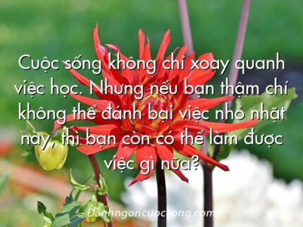 Cuộc sống không chỉ xoay quanh việc học. Nhưng nếu bạn thậm chí không thể đánh bại việc nhỏ nhặt này, thì bạn còn có thể làm được việc gì nữa?