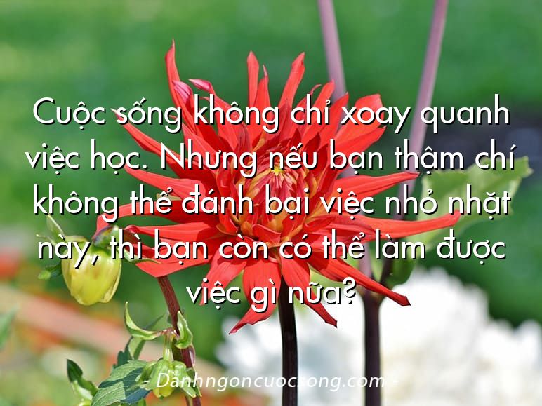 Cuộc sống không chỉ xoay quanh việc học. Nhưng nếu bạn thậm chí không thể đánh bại việc nhỏ nhặt này, thì bạn còn có thể làm được việc gì nữa?